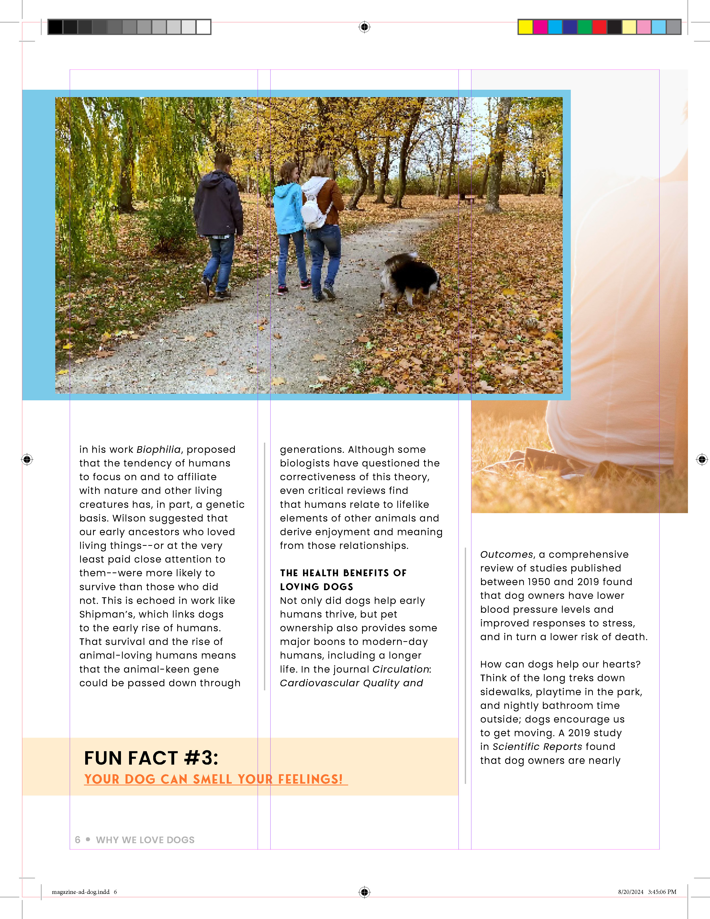 Dog Magazine Final 6